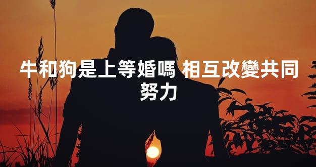 牛和狗是上等婚嗎 相互改變共同努力